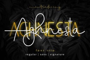 Aghnesta Trio: A Font for Business Brilliance