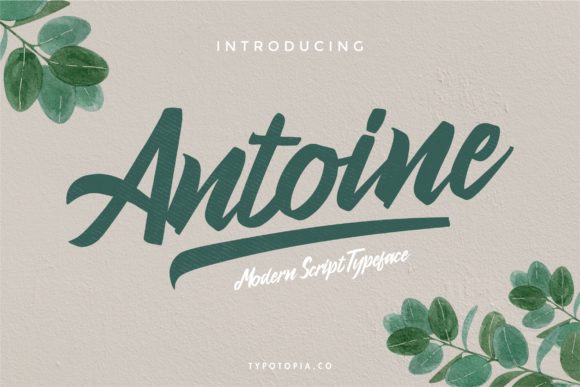 Antoine: Elegant Script Font for Crafters
