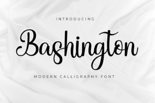 Bashington: A Delicate Script Font
