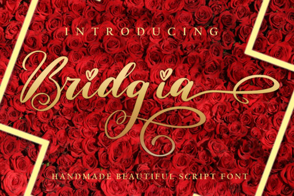 Bridgia: A Font for Creative Campaigns