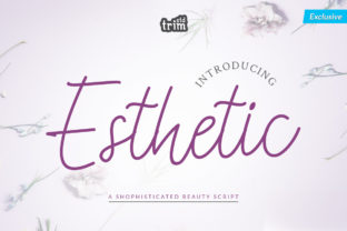 Esthetic: A Romantic Script for Creative Projects