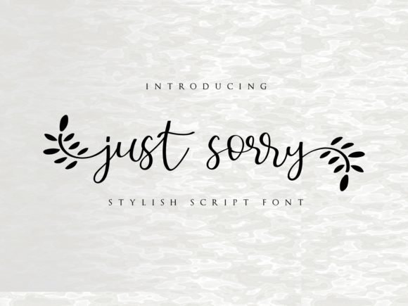 Just Sorry Review