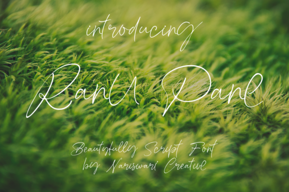 Ranu Pane Font Review